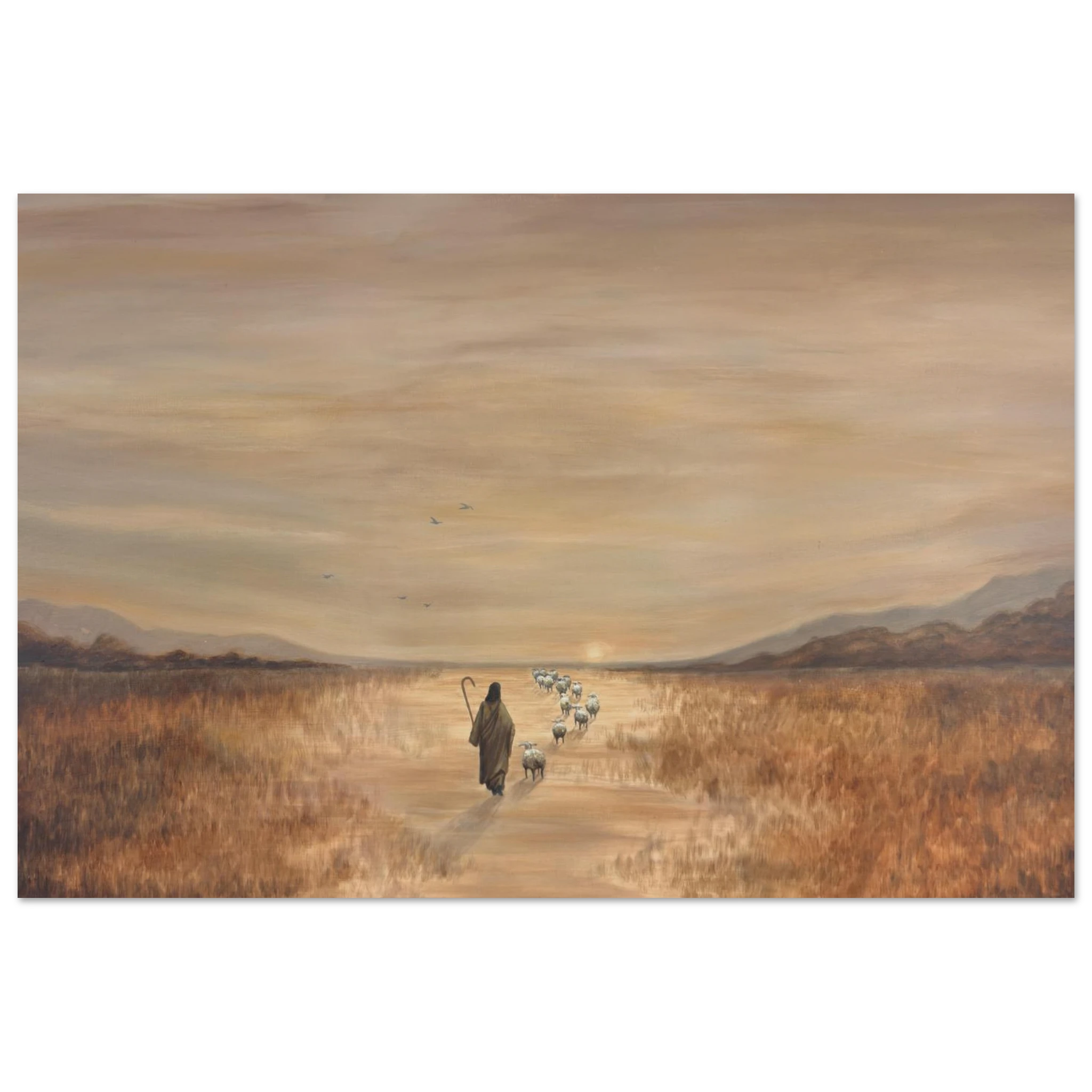 c3101655-bc73-4656-965a-7fc36d868336