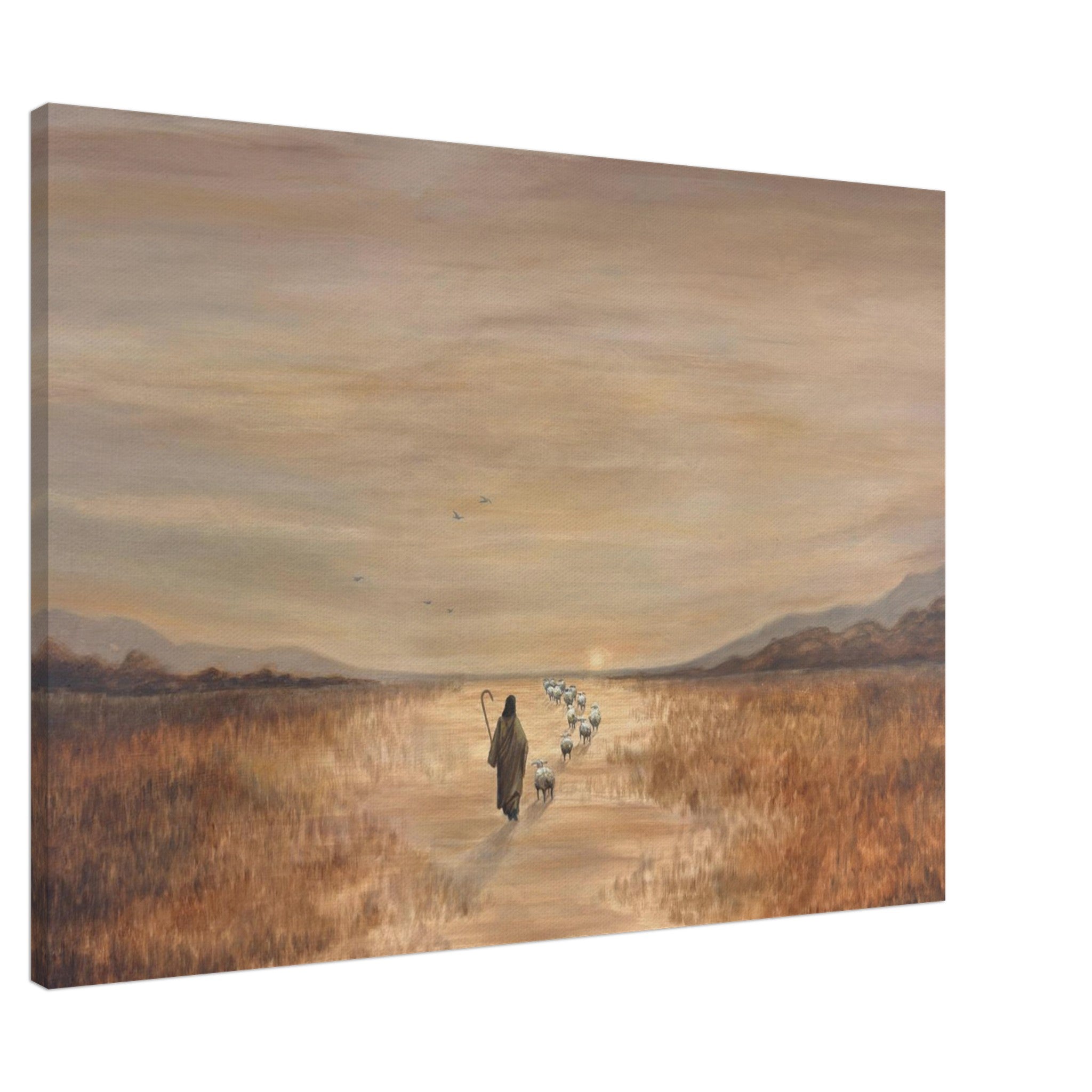 d14a5669-097d-4354-ab52-2c4955f34f82